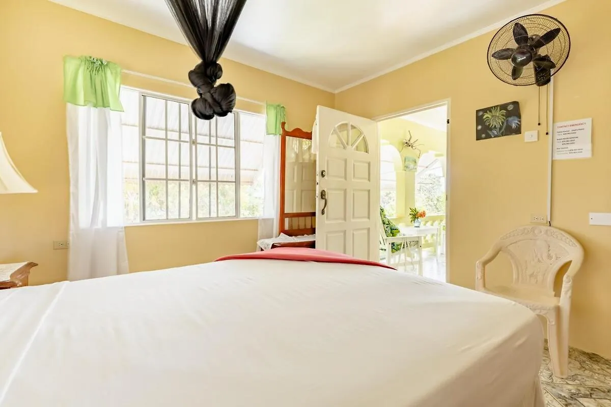Rockside Villa - Oceanfront Paradise With Stunning Views Treasure Beach Jamaica